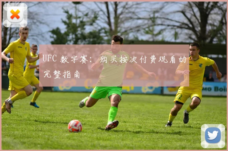 UFC 数字赛：购买按次付费观看的完整指南