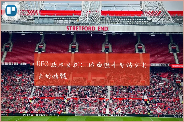 UFC 技术分析：地面缠斗与站立打击的精髓